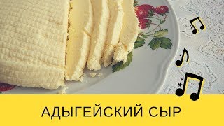 Как приготовить адыгейский сыр в домашних условиях. Вкусный сыр своими руками. Рецепт сыра из молока