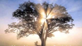 Charles Spurgeon - El Justo por su Fe Vivirá