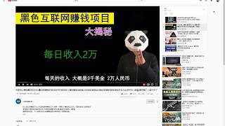 无用视频(骗子)--在家网上赚钱最快的方法,?网络赚钱灰色项目手机被动收入兼职赚美金教程,马来西亚香港全球能在家兼职黑色挣钱方法大全,野手机门路?