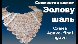 Совместно вяжем Эолову  шаль.  Схема  Agave, final agave.