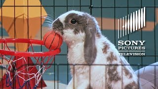 Bini The Bunny - The Gong Show