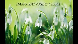 Исцеление желчного пузыря и  печени!!!