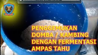 RAHASIA ! PENGGEMUKAN DOMBA GARUT / PRIANGAN DENGAN PAKAN FERMENTASI AMPAS TAHU