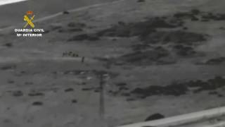 Operación Puente Regencio. Operaciones de la Guardia Civil. SIVE