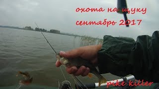 Ловля щуки в дождь. Вечерняя рыбалка осенью 2017.