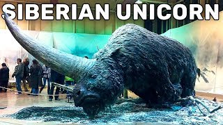 10 Extinct Animals That Will Be Resurrected Soon