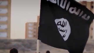 Envoy credits Trump for progress against ISIS
