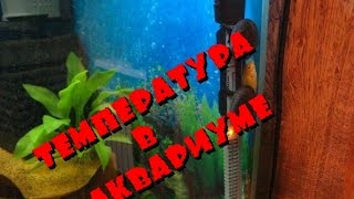 Температура в аквариуме. Домашний аквариум доступен для всех.