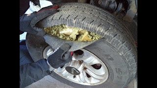 СОКРОВИЩА, найденные в САМЫХ НЕОБЫЧНЫХ МЕСТАХ