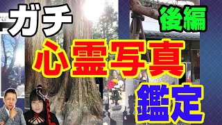 【ガチ鑑定】驚愕！！あーりんによる真実の心霊写真鑑定【後編】　ATL3rd 137