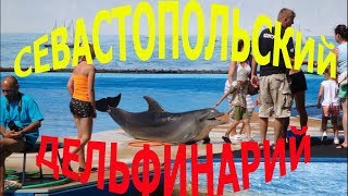 ВЫСТАВКА ПОПУГАЕВ / ПРЕДСТАВЛЕНИЕ В СЕВАСТОПОЛЬСКОМ ДЕЛЬФИНАРИЙ