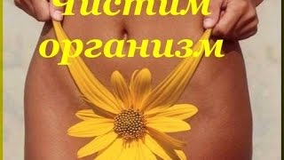 Детокс программа за 14 дней (по Альберту Зеру)