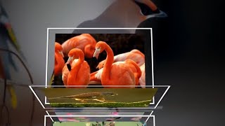 3D Стили "Элегант"- для Proshow Producer I Скачать