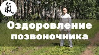 Упражнение цигун  для позвоночника  / Видео урок - Смотри и делай