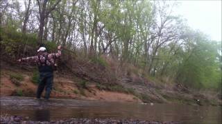 Fly Fishing for White Bass in Texas