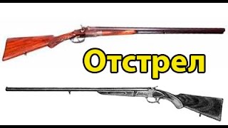 Отстрел ИЖК и Тоз-Б . 2017