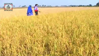 Bengali Tusu Song 2015 - Dewar Joudi Bhalo-Basi  | Tusu Song Video Album - BENGALI TUSU SONG ALBUM