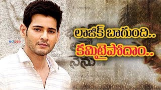 లాజిక్ బాగుంది..కమిటైపోదాం..| Mahesh Babu Confident about Bharath anu Nenu Movie