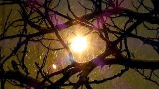 Фонарь и снег. Футажи для видеомонтажа. Зимние футажи. Снег в свете фонаря