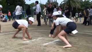 種子島の学校活動：下西小学校校内すもう大会 めざせ！横綱西ノ海