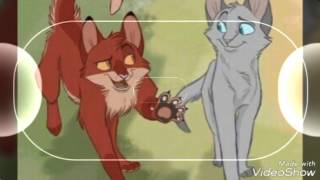 Коты-Воители|Синяя Звезда, Жёлудь - Волк-одиночка