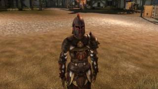 Dragon Age: Origins - Helm of Honnleath Devout Armor Retint