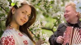 ВИШНЯ ❤️ ПЕСНЯ О ЛЮБВИ  ПОД ГАРМОНЬ❤️ЗАСТОЛЬНЫЕ ПЕСНИ НА ГАРМОНИ CHERRY love songs to the accordion