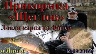Прикормка Щеглов. Ловля карпа на Фидер