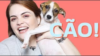 O FAVORITOS DE JANEIRO TEM UM CÃO! • Karol Pinheiro
