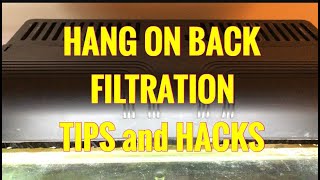 HANG ON BACK FILTRATION - TIPS & HACKS