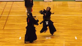 [17th 8dan] 栄花直輝 先生 一本集 EIGA Naoki Sensei Ippons (2019)