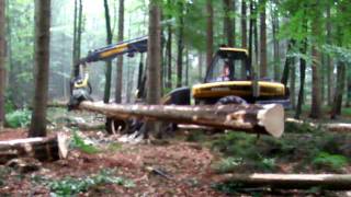 Ponsse Ergo im Starkholz [1]