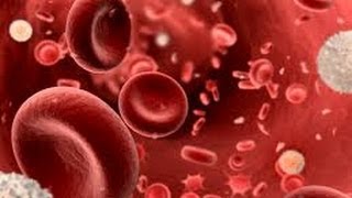 All you need to know about Platelet Rich Plasma ( PRP) Muscle Injection