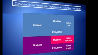 REGIMEN DE SOCIEDAD CONYUGAL DERECHO CIVIL CHILENO APUNTES DE DERECHO CIVIL