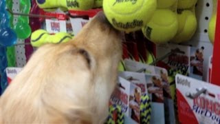 Roo picks out a toy for the first time