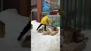 Спасение собаки из заточения