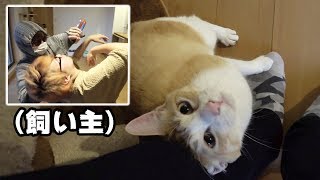 【ドッキリ】飼い主を襲ったら猫の反応が賢すぎた！！