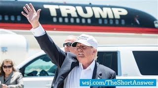 Trump's Private Aircraft Are a Campaign Luxury