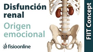 Origen emocional de la disfunción de riñón.