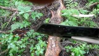 Тест саперной лопатки от фирмы Cold Steel.the test. Проект Чистота.