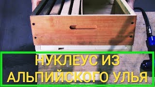 Как сделать нуклеус из альпийского улья?How to make a nucleus from an Alpine hive?