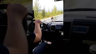 Мишка-спортсмен, Надым ЯНАО