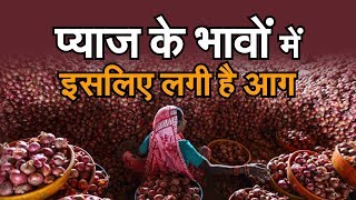 Onion Price Today || मुहाना थोक मंडी में सभी सब्जियों के भाव 15 रुपए किलो से ऊपर