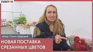 Летние новинки и хиты в "7ЦВЕТОВ" / Обзор поставки срезанных цветов с флористом Ольгой Шаровой