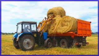 ТРАКТОР МТЗ-82 Погрузка Рулонов Сена на Камазы.