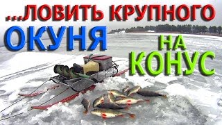 Как ПРАВИЛЬНО ловить КРУПНОГО ОКУНЯ на КОНУС !