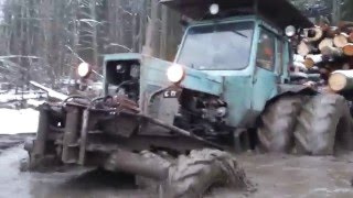 MTZ 82 , only 4x4 , very wet forest | MTZ Power 2