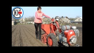 КАК ПОСАДИТЬ КАРТОШКУ МОТОБЛОКОМ??? Да это ЛЕГЧЕ ВСЕГО!!! Работаем с удовольствием!