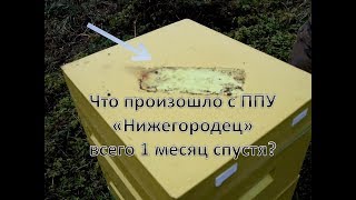 Что случилось с ППУ 1 месяц спустя - ультрафиолет, влажность, прочность