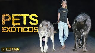 Animais de estimação mais assustadores que as pessoas realmente possuem